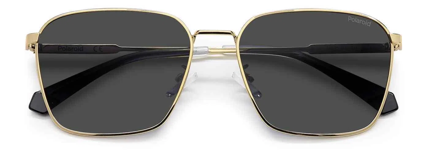Polaroid Core PLD4120 Sunglasses - view 9